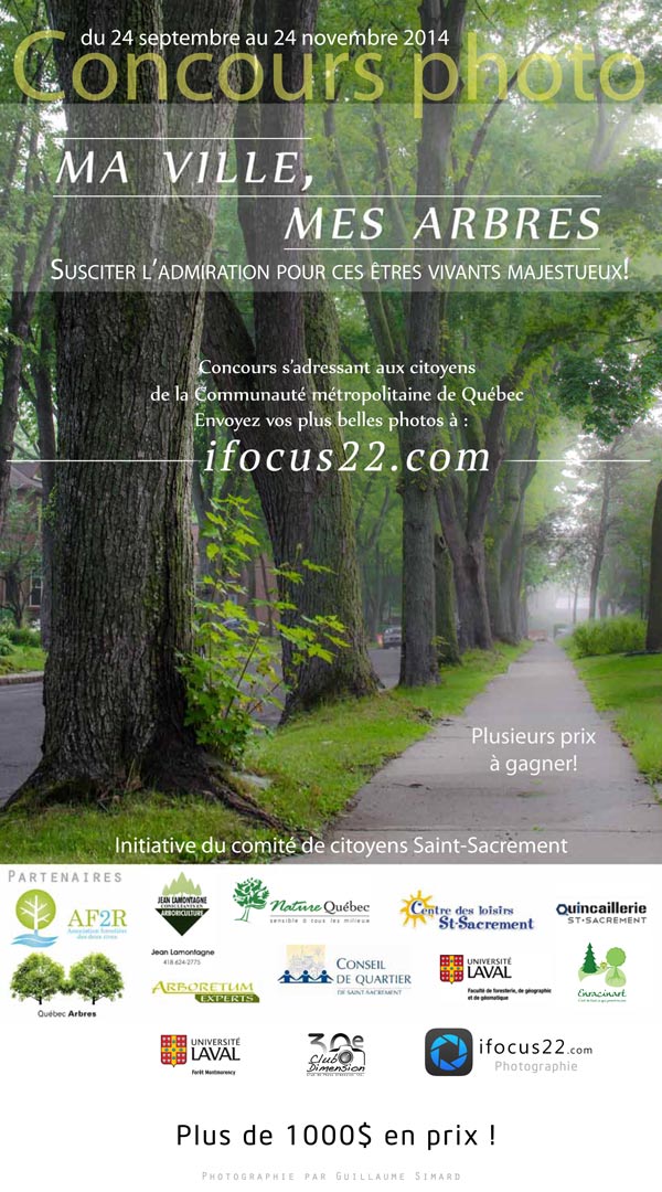 Ma ville, mes arbres - Concours photo