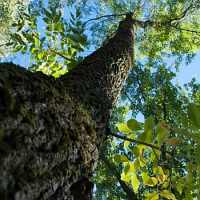 Photo de profil de andreajacques