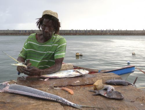 Voulez-vous m'acheter du poisson ?