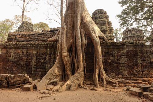 La nature reprend ses droits