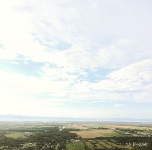 Horizon