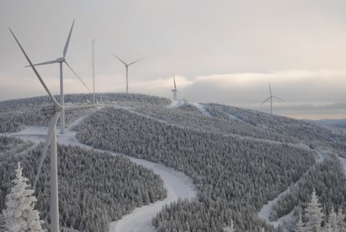 énergie vivante